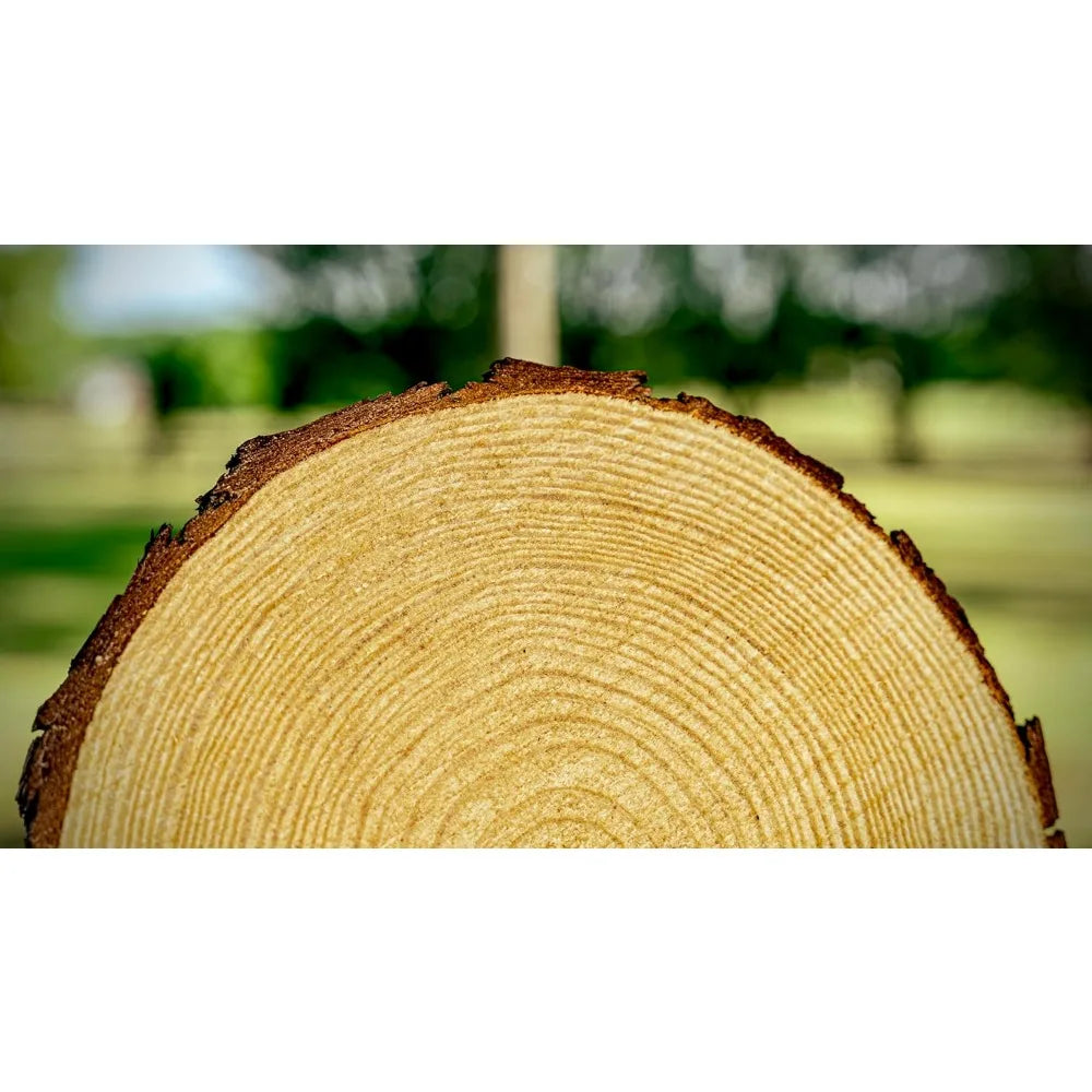 Natural Unfinished Wood Slices For Centerpieces And Craft Decor