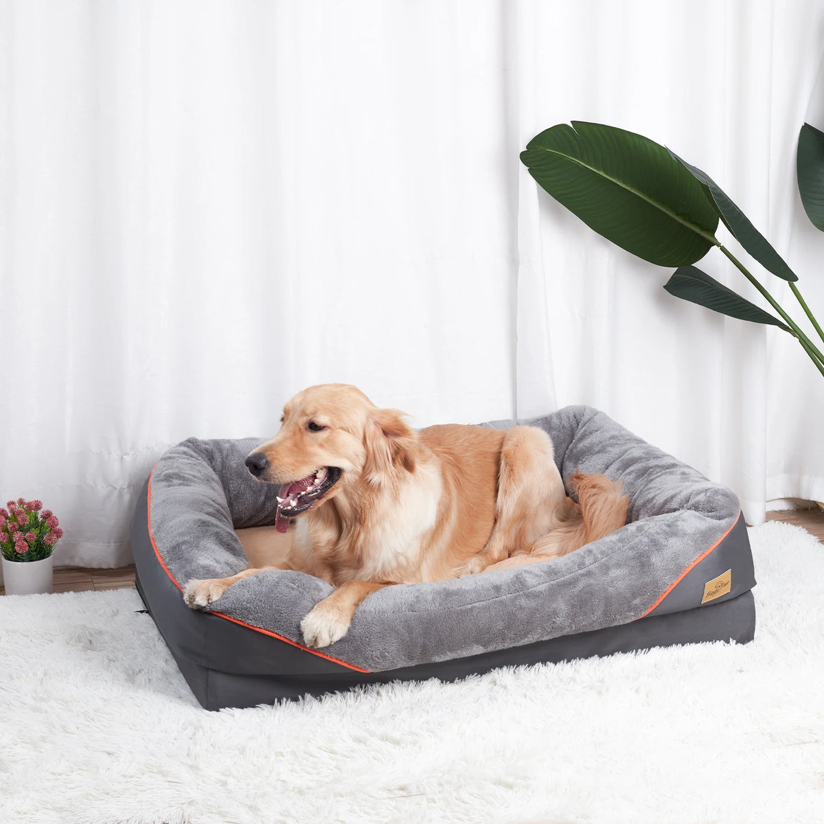 BINGOPAW Dog Bed With Removable Washable Cover Soft Foam Comfort