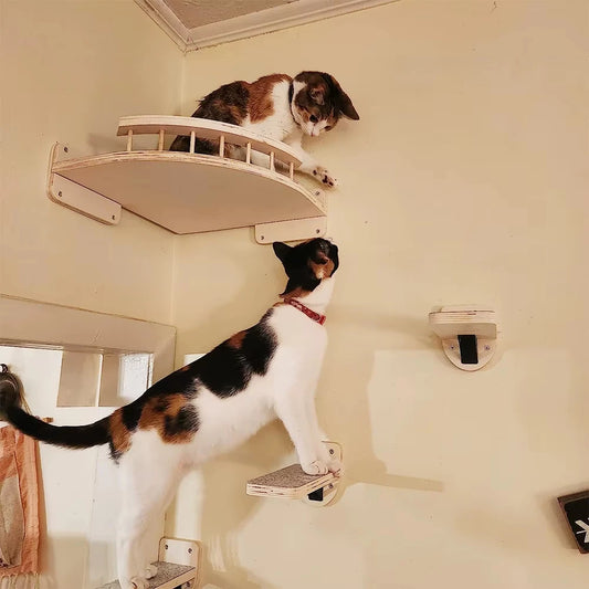 CWV Wall Mounted Corner Hammock With Steps Cat Tree Set