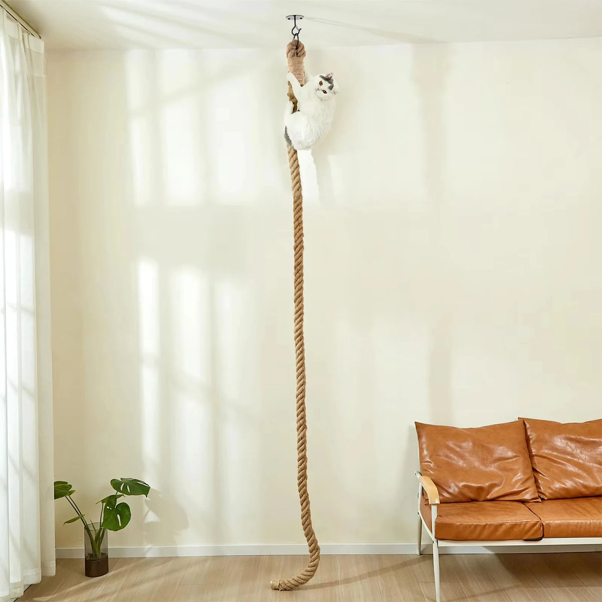 Cat Sisal Climbing Rope Scratcher Wall Mounted Interactive Exercise Toy