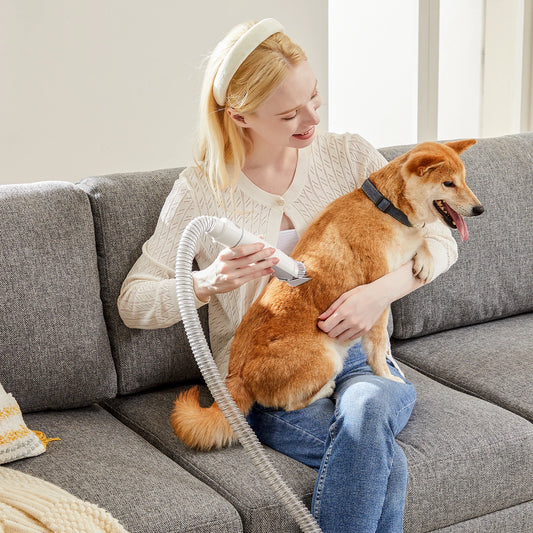 Professional Cordless Pet Grooming Vacuum Kit With Low Noise Clippers