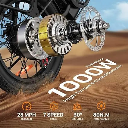 URLIFE 1000W Brushless Electric Bike With 48V Battery