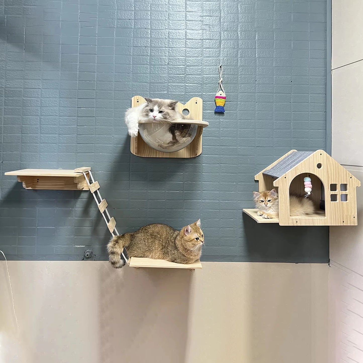 Solid Wood Wall Mounted Cat Shelf Floating Condo Villa