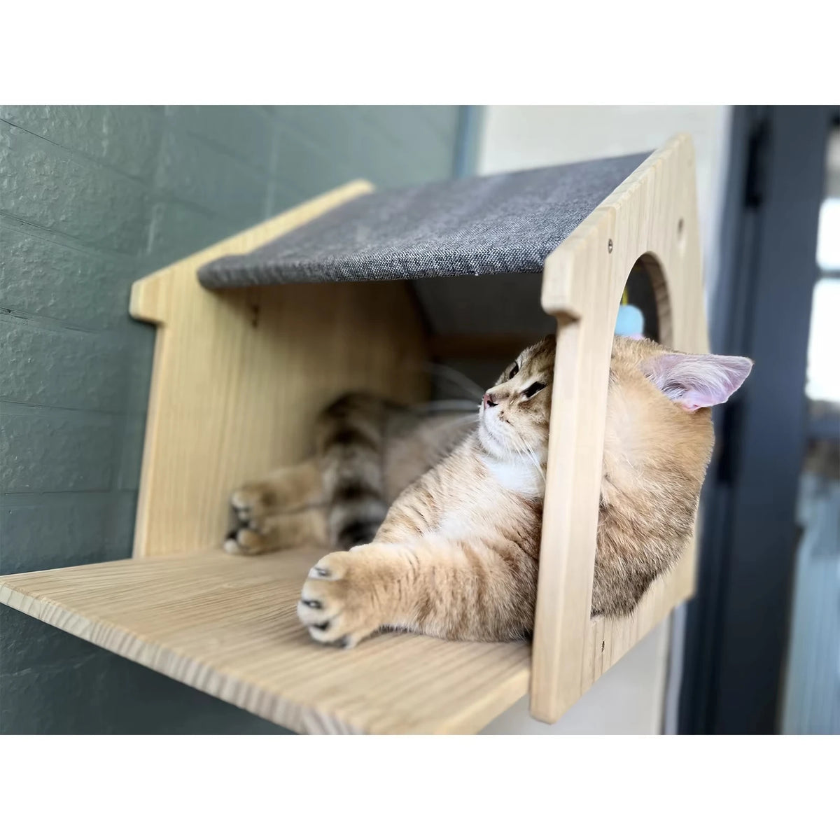 Solid Wood Wall Mounted Cat Shelf Floating Condo Villa