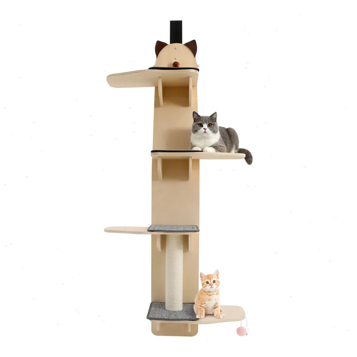 Door Hanging Cat Tree With Scratch Post And Wooden Shelves