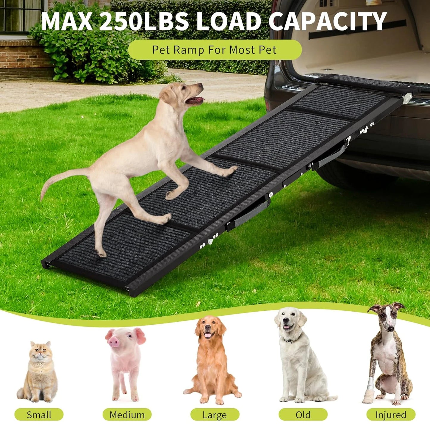 HiMISS Folding Pet Car Ramp With Anti Skid Surface
