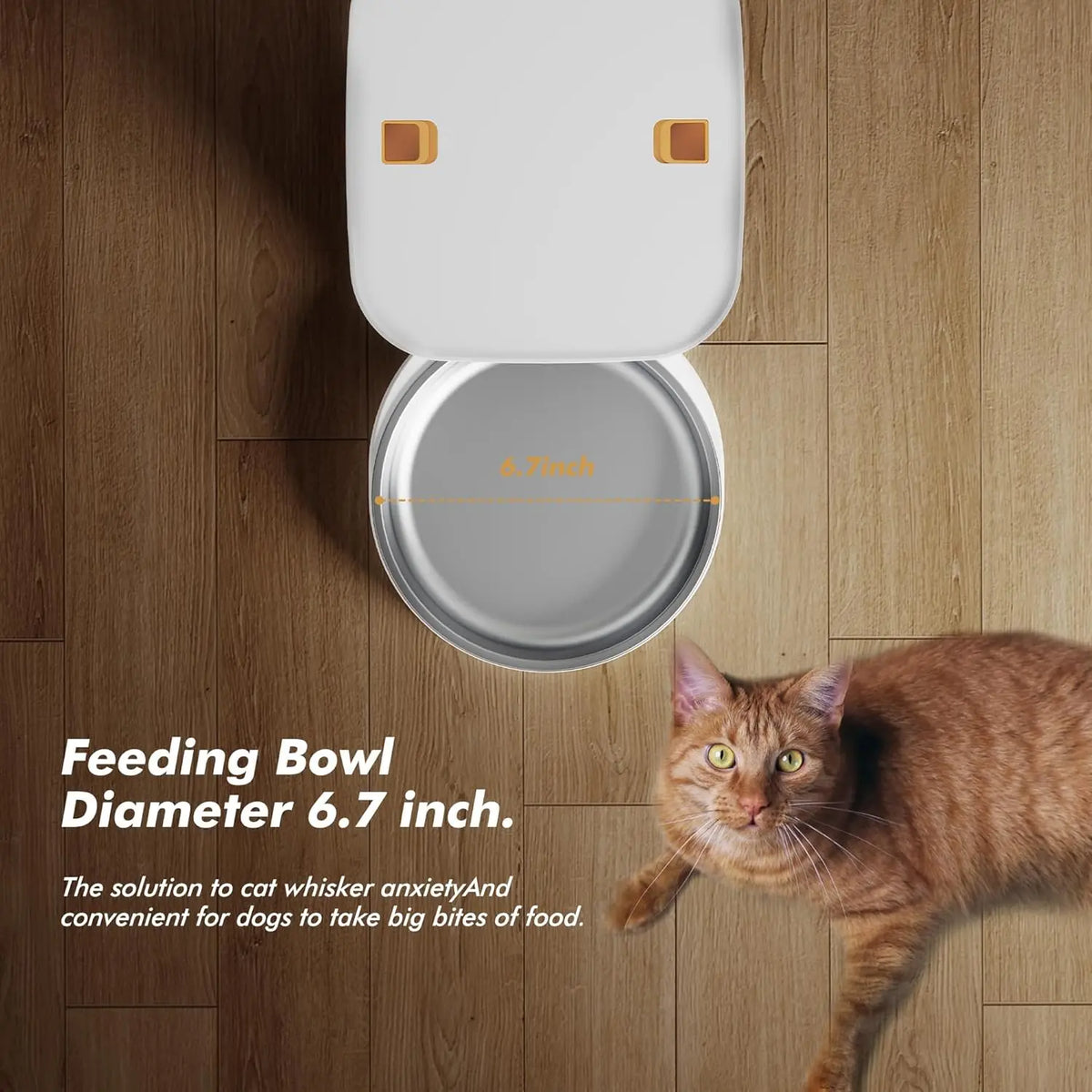 Nityers Automatic Cat Feeder Voice Recorder Dual Power Stainless Bowl