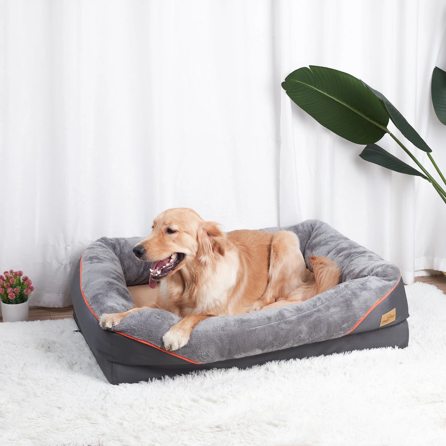 BINGOPAW Dog Bed With Removable Washable Cover Soft Foam Comfort