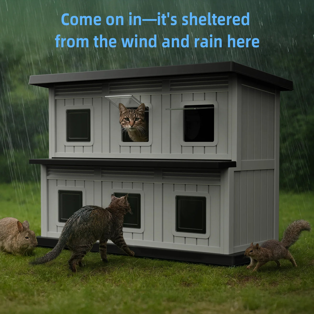 Weatherproof Resin Cat House With Multiple Access Doors